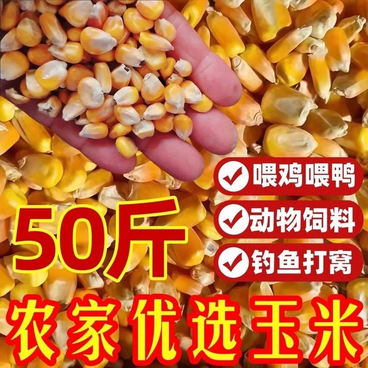 大玉米粒喂鸡鸭猪100斤50斤5斤装