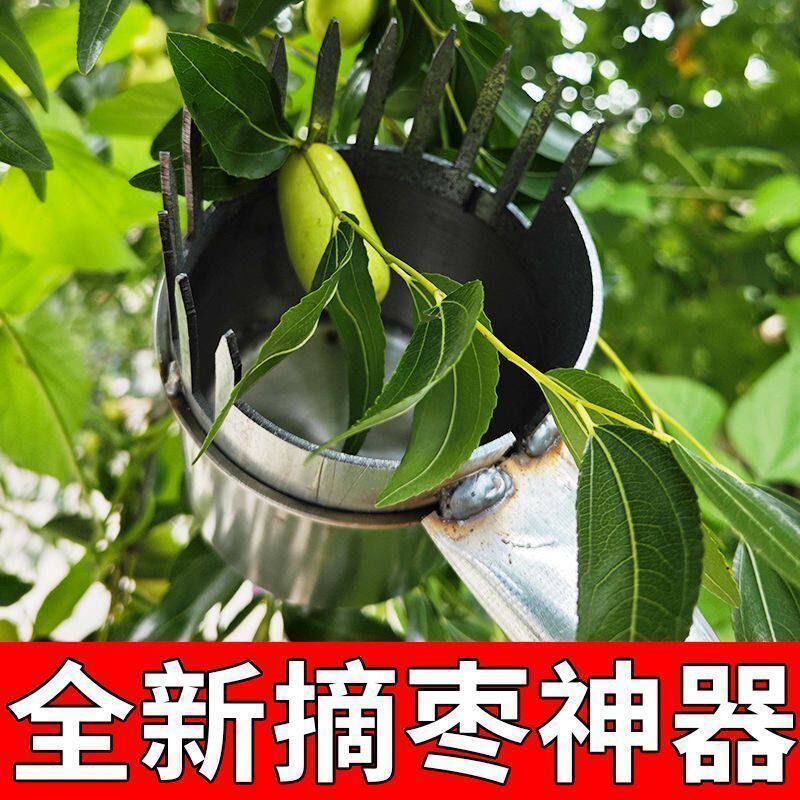 摘酸枣神器摘果器不锈钢采果器摘花椒摘蓝莓摘小果子摘小番茄工具