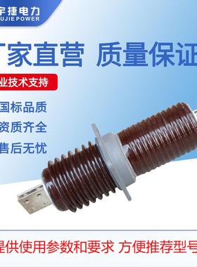 宇捷CB CWB CWC CWW户外高压陶瓷铜牌铝牌穿墙套管CWB-12/60防污