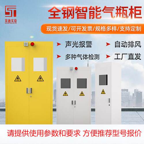 实验室全钢气瓶柜钢瓶柜 报警柜带探测器单双 三瓶氧氮氢储存柜