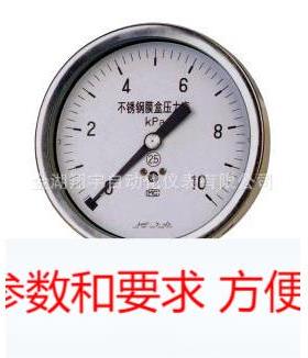 不锈钢膜盒压力表 YE-100B 量程0-50kpa 精度1.6级 螺纹M20*1.5