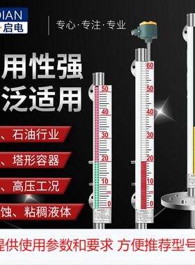 磁翻板液位计磁性报警开关4-20mA带远传面板浮子侧装式水位计304