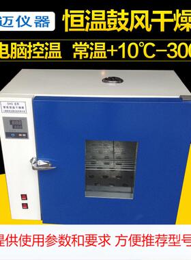 DHG101-4B电热恒温鼓风干燥箱 实验烘箱 烘干箱 高温烤箱 恒温箱