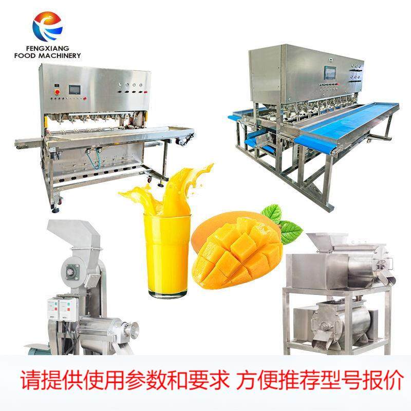 高效商用芒果削皮机芒果粉浓缩芒果汁打浆机鲜果原汁原浆工厂直供,清洗/食品/商业设备,其他食品加工设备,淘宝优惠券,粉丝福利购,淘宝优惠卷