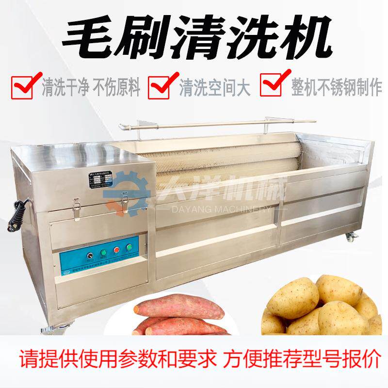 全自动毛刷式土豆清洗机现货供应白萝卜清洗设备电动洗猕猴桃机器