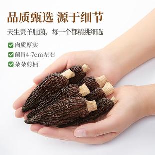 天生FYC肚菌头茬山羊珍贵菌干 干菇货500g四川巴中特产烧菜煲汤火