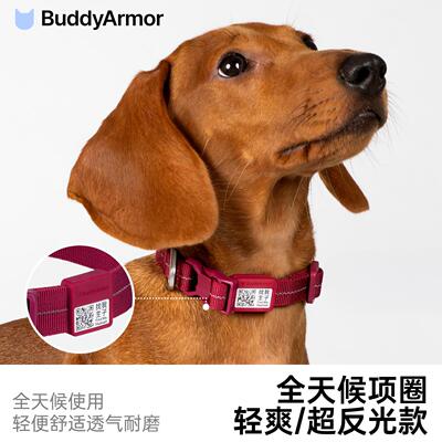 BuddyArmor狗项圈防丢舒适耐磨