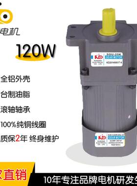 5I120A-CF小型齿轮减速电机220V微型减速机交流调速电机120W