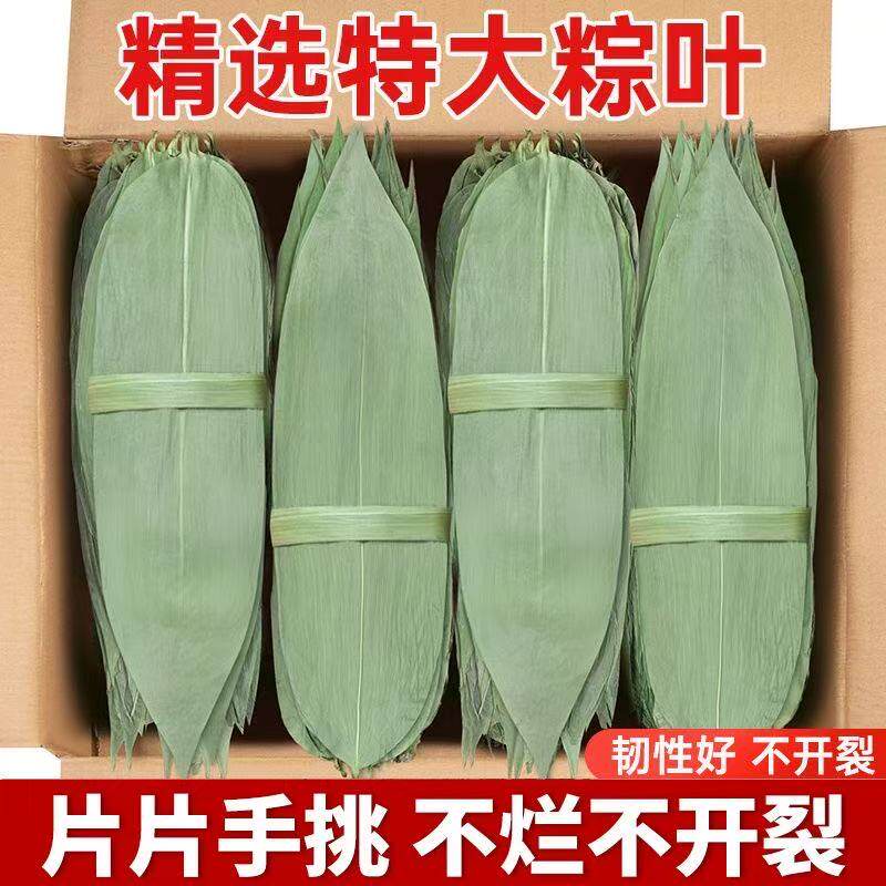 干粽叶芦苇叶大号粽子叶白洋淀新