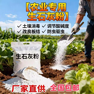 【蔬菜专用】生石灰粉土壤杀菌菜地除虫改善土壤高纯度生石灰防虫