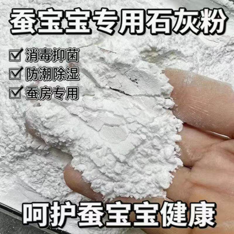 蚕宝宝消毒粉熟石灰用防僵病图片