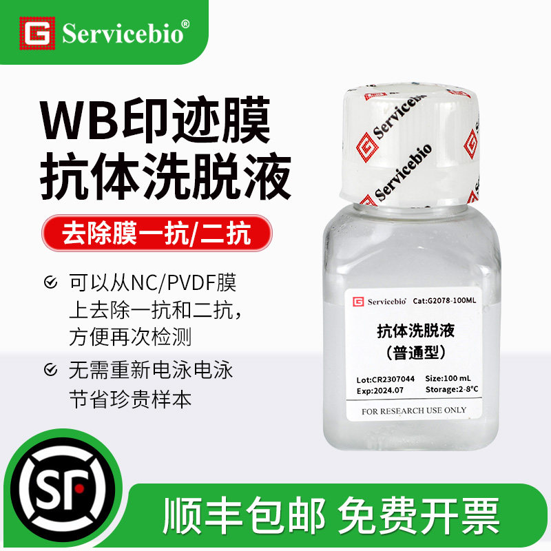 赛维尔 WB抗体洗脱液 NC/PVDF膜一抗二抗祛除液 膜再生液 100ml