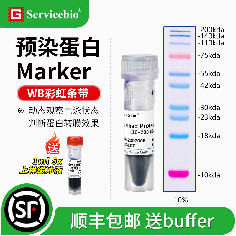 WB预染蛋白Marker 彩虹条带Marker PAGE电泳蛋白分子量标准250ul图片