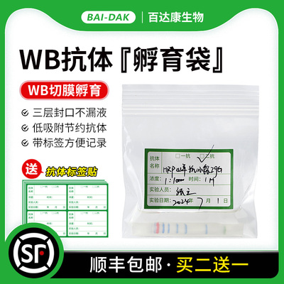 买二送一抗体稀释袋孵育袋送标签