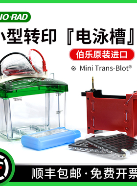 BIO-RAD伯乐原装小型蛋白转印电泳槽 Mini Trans-Blot转印槽 1703930 2块胶湿转电泳槽 1703935