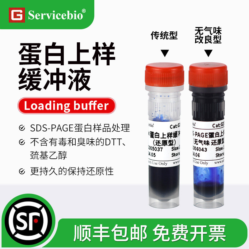 赛维尔 5xSDS-PAGE蛋白上样缓冲液loading buffer变性还原/非还原图片