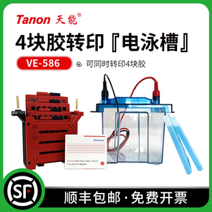 Tanon天能 VE-586 转移电泳槽 WB湿转 可同时转印4块胶