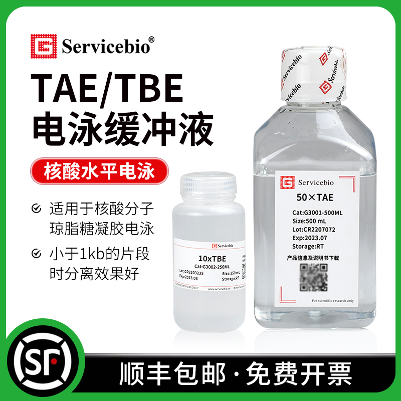 赛维尔 TAE/TBE核酸琼脂糖凝胶电泳缓冲液 Tris-乙酸-EDTA 即用型