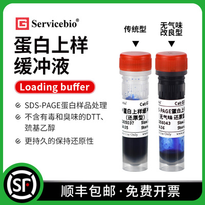 赛维尔 5xSDS-PAGE蛋白上样缓冲液loading buffer变性还原/非还原