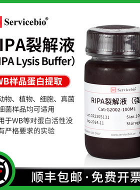 赛维尔 RIPA裂解液 强/弱 细胞/组织快速裂解 PAGE/WB 提取蛋白