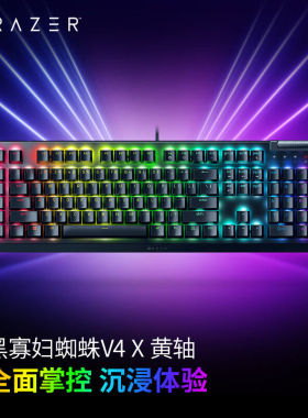 Razer/雷蛇黑寡妇蜘蛛 V4 X 段落线性 RGB 电竞游戏机械键盘