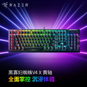 Razer/雷蛇黑寡妇蜘蛛 V4 X 段落线性 RGB 电竞游戏机械键盘
