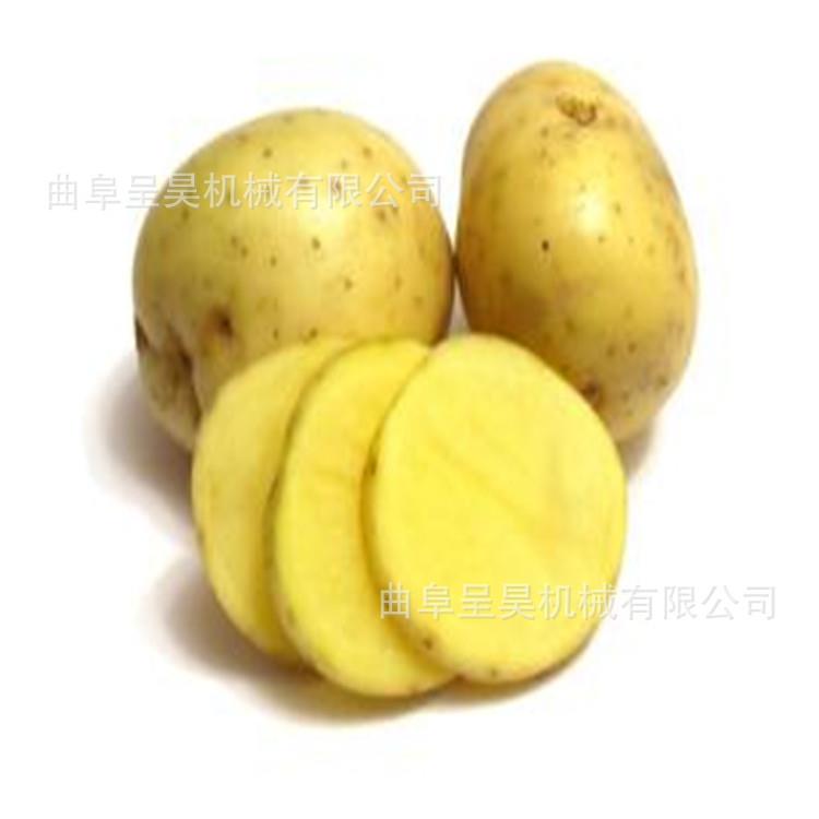 畅销款火锅店土豆切片机多功能商用合金切地瓜红薯白萝卜片机