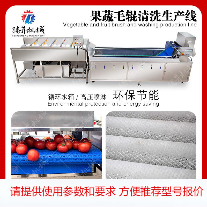 果蔬气泡清洗机净菜加工生产线 果蔬加工设备 平行毛辊清洗生产线