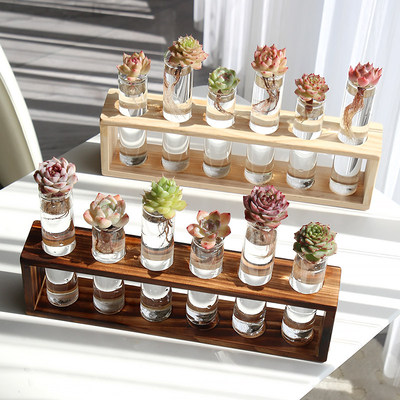 水培多肉植物盆栽花卉组合套餐精品麦秆办公室桌面摆件小苗新手养