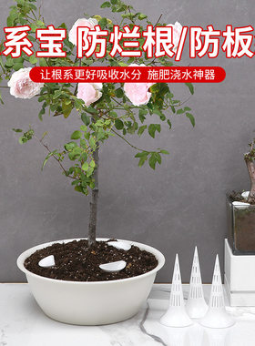 根系宝花盆垫片透气锥形防烂根沥水罩花卉绿植底部漏水垫底孔垫
