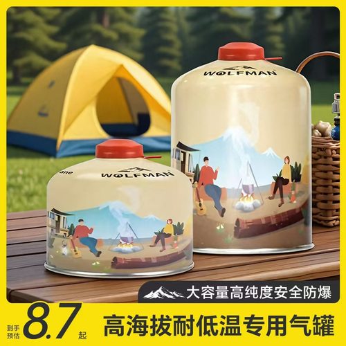 高山气罐450户外防爆卡式炉大容量扁气罐高原露营瓦斯瓶野外炉具