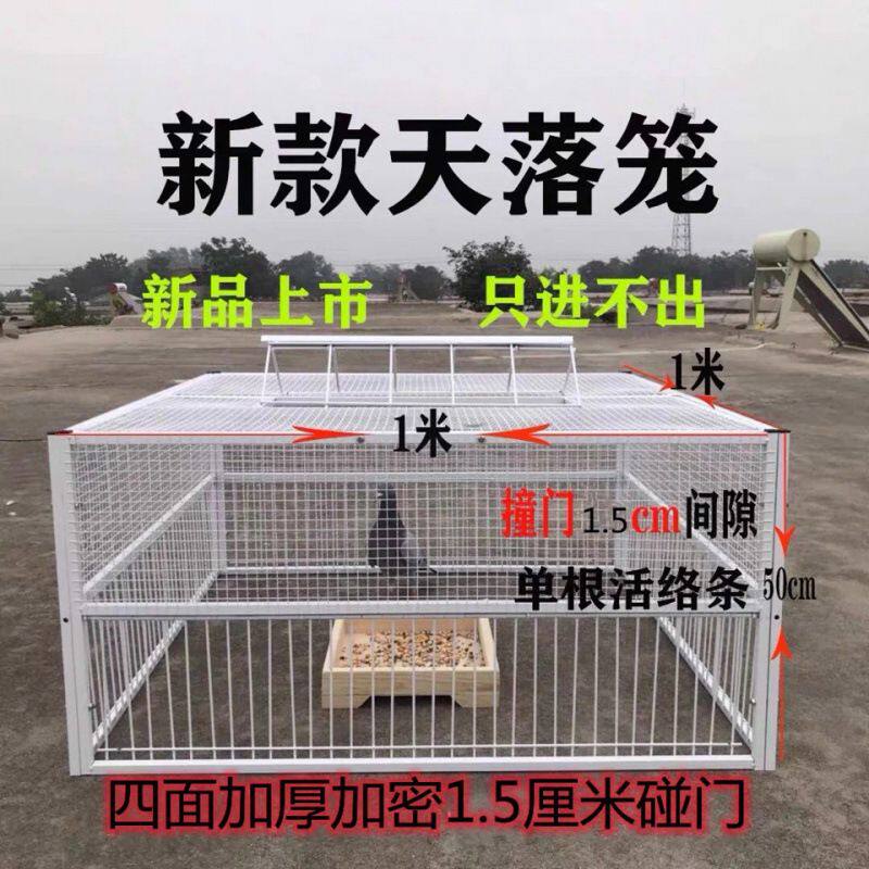 逋鸽神器鸽子天落笼只进不出鸽子笼活络门撞门笼鸟笼跳笼养殖笼