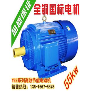 Y三相异步电动机55kw2 4 6 8极380V三相电机55KW电机国标铜线卧式