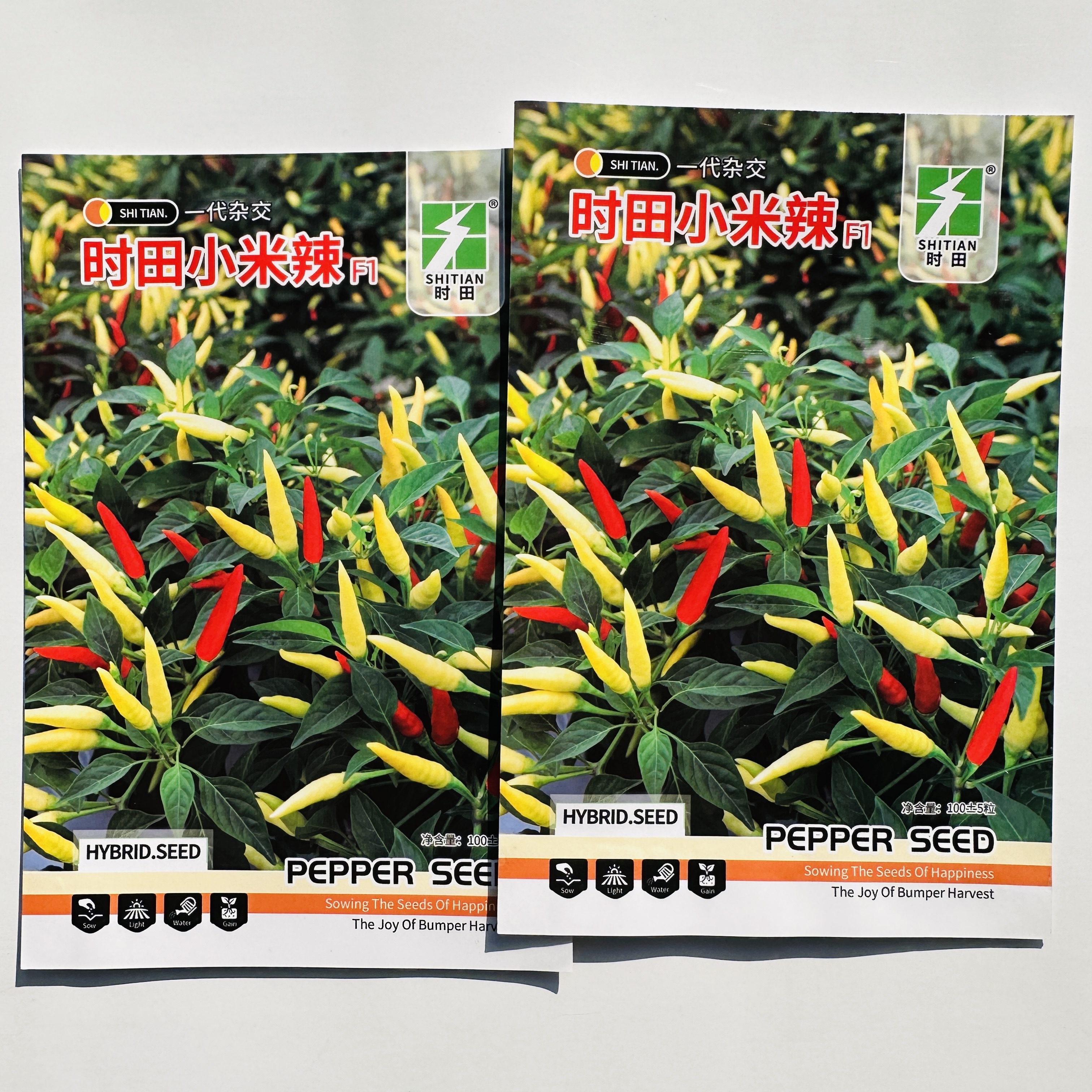 四季小米椒种籽小米辣种子苗秧朝天辣椒特辣蔬菜泡椒孑秧苗籽包邮