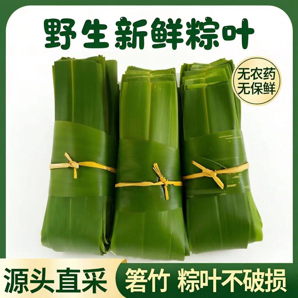 新鲜大号磐竹粽子叶真空包装专用