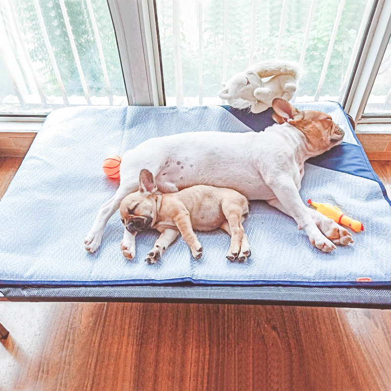 狗凉席垫夏天凉垫宠物猫咪垫子夏B季冰垫狗狗睡觉用睡垫地垫降温