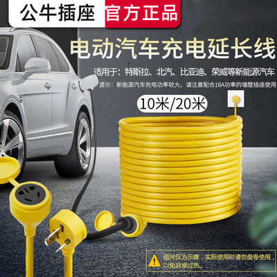 大功率电动汽车新能源延长线公牛