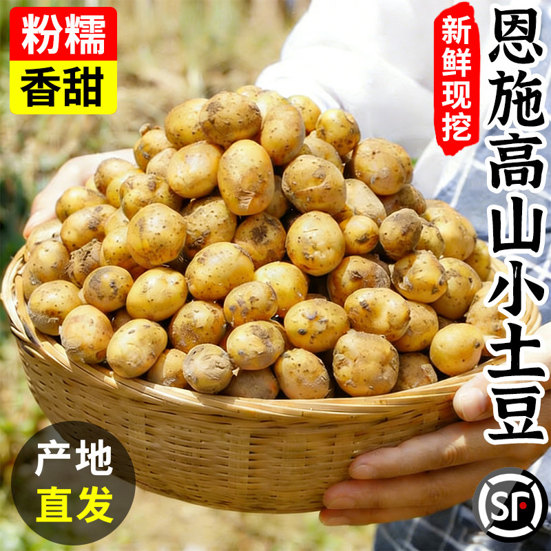 恩施小土豆10斤包邮农家正宗新鲜洋芋迷你黄心湖北马铃薯蔬菜整箱