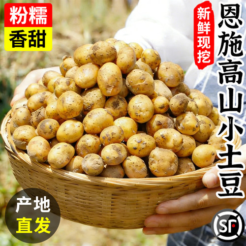 恩施小土豆粉糯整箱包邮