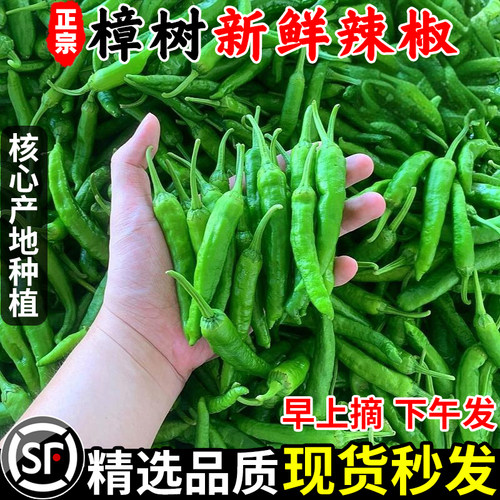 顺丰次日达！樟树港辣椒！