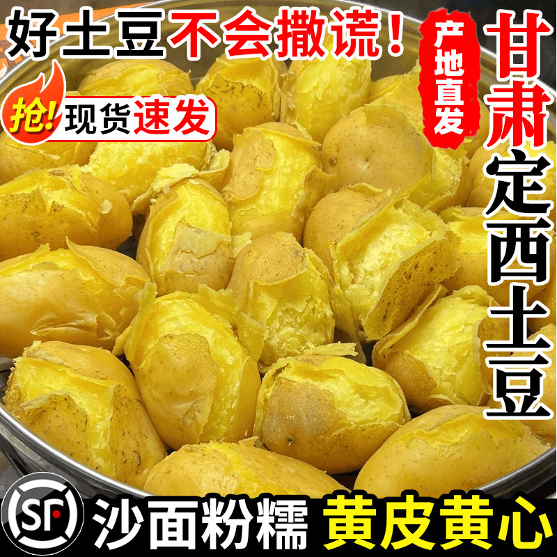 正宗甘肃定西沙面土豆新鲜黄皮黄心洋芋农家新鲜现挖小土豆马铃薯