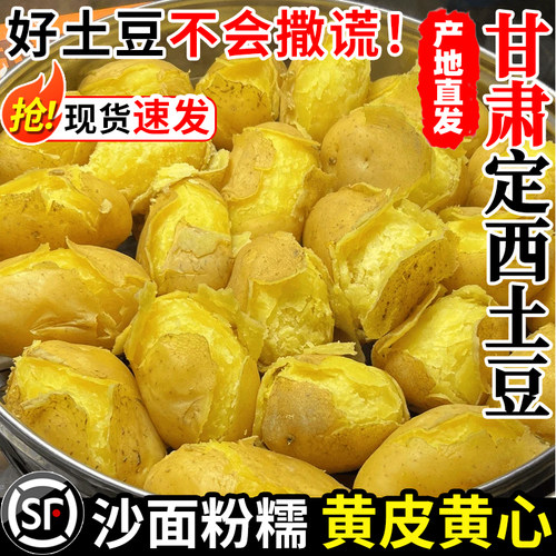 【官方推荐】甘肃定西黄皮土豆