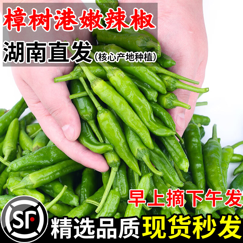 【特级】正宗樟树港新鲜辣椒湖南岳阳产地直发青椒现摘下饭菜顺丰