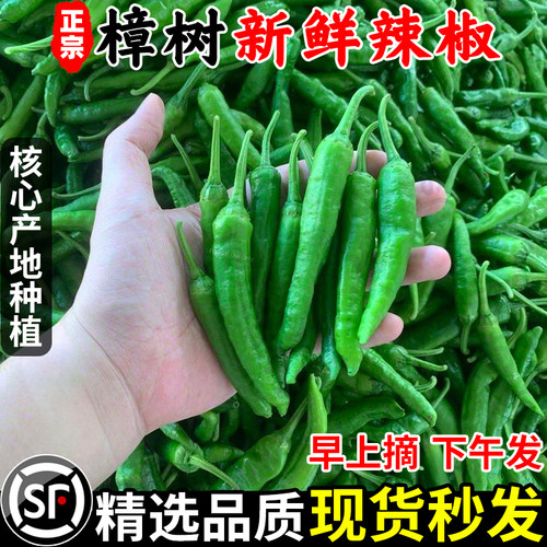 顺丰次日达！樟树港辣椒！