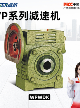 WPWDK70 80 100蜗轮蜗杆减速机铁壳立式带法兰减速齿轮箱变速器