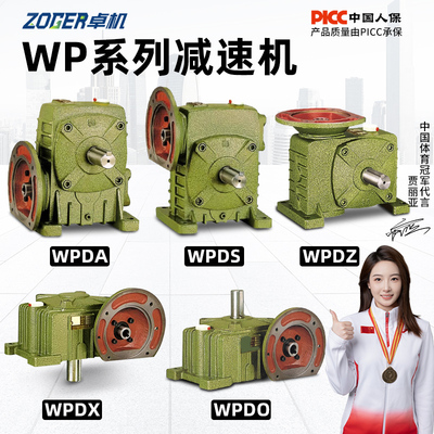WP系蜗轮蜗杆减速机【厂家批发】