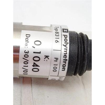 Zellweger Analytics Polymetron 8316 / Pt100 热电偶