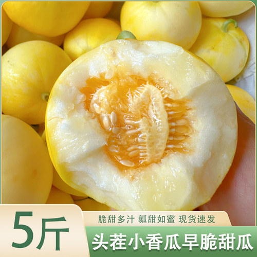山东早甜脆甜瓜星甜小蜜蜂脆瓜蜜罐新鲜脆瓜水果5斤整箱包邮3斤