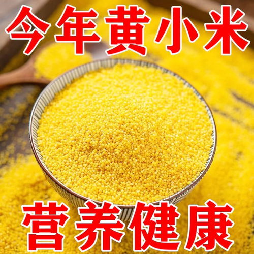 山西黄小米新米500g农家自产脂米小米粥小黄米五谷杂粮优质软糯