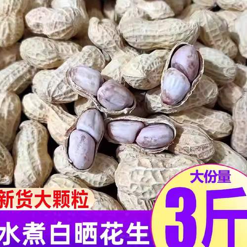 新货花生白晒咸干水煮花生米带壳紫衣红衣花生炒货下酒菜追剧坚果